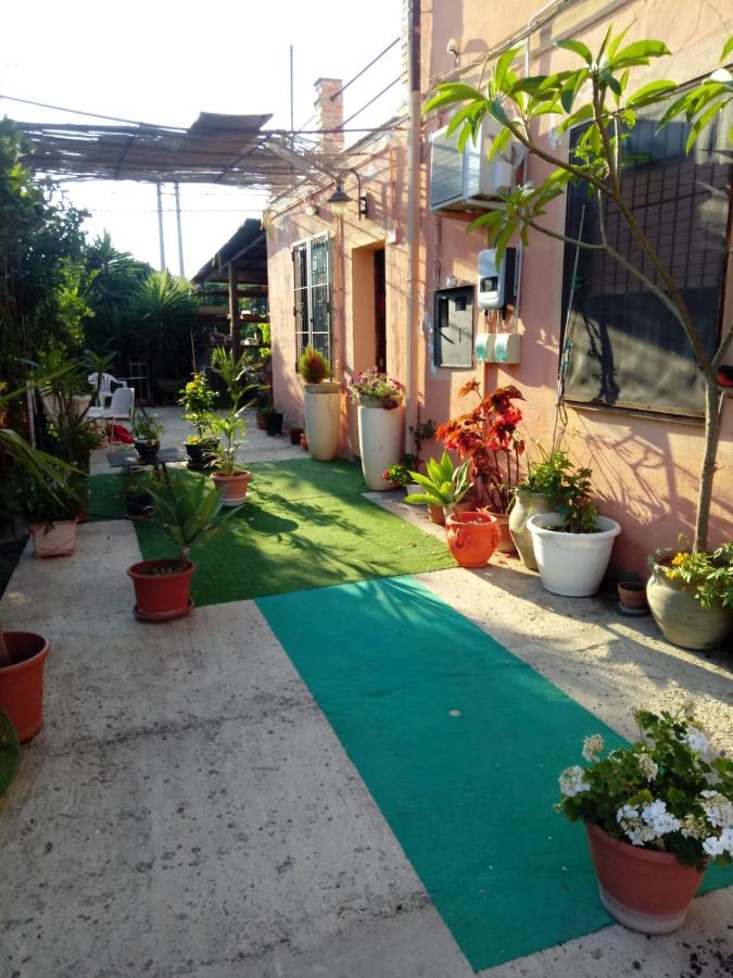 B B Casa Vacanze Il Pino Di Pino Lascari Exterior photo